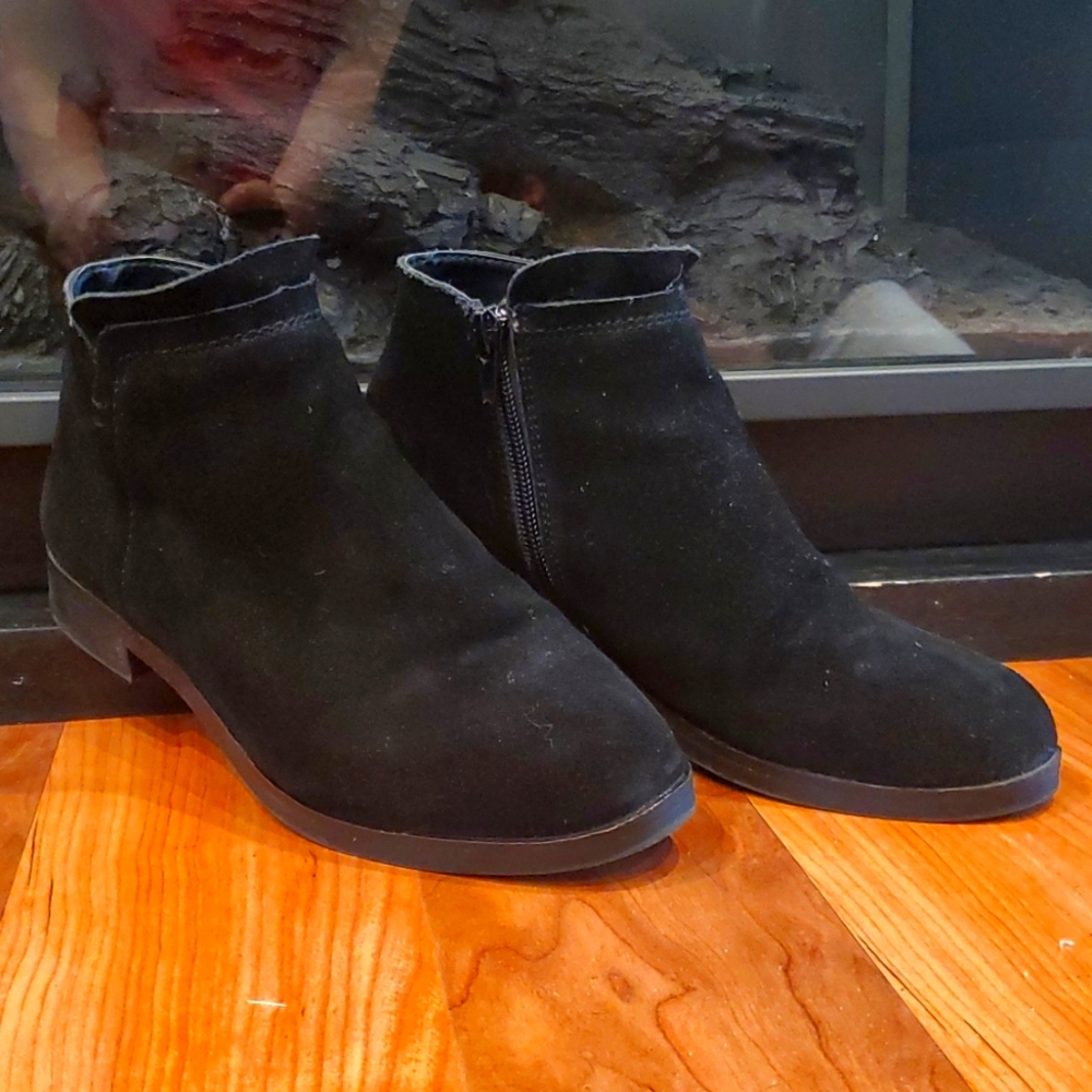 Steve Madden Shoes